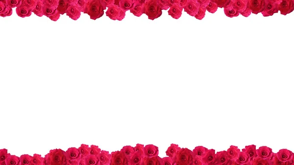 白い背景に孤立した赤いバラで作られたフレーム テキストのスペース — ストック写真