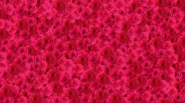 Rose Flower Background Red Rose Flowers Background Render Illustration — Stock Photo, Image