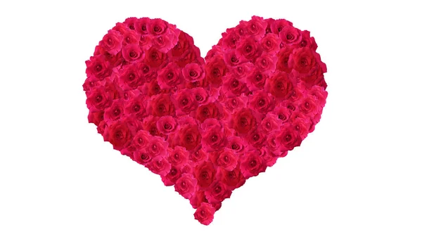 Beyaz Arka Planda Kırmızı Güllerden Yapılmış Kalp Şekli Sevgililer Günü — Stok fotoğraf
