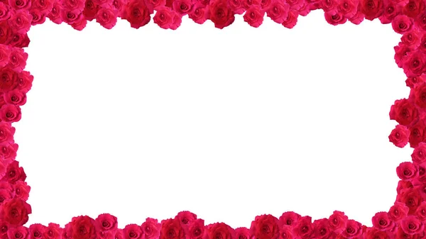 Quadro Feito Rosas Vermelhas Isoladas Sobre Fundo Branco Espaço Cópia — Fotografia de Stock
