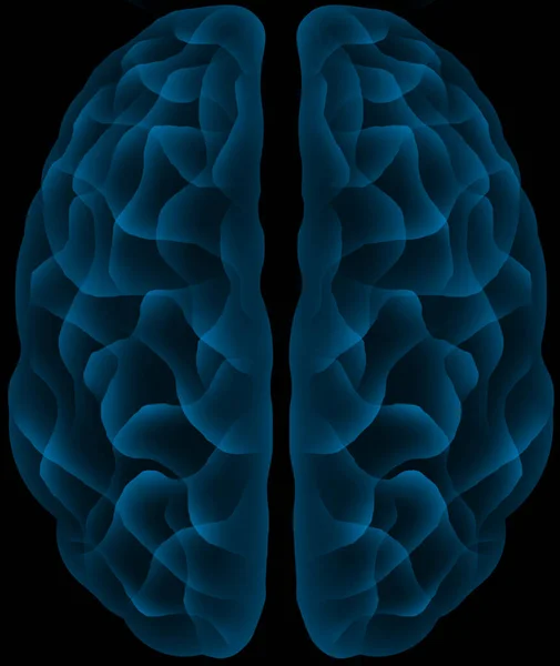 Человеческий Мозг Неоновой Голографической Голубой Свечением Футуристического Вида Сверху — стоковое фото