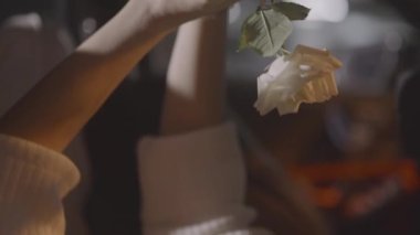 Romantik bir kadının beyaz bir gül tutarak arabada uzanması, narin ince eller, ışık parlamaları. Aşık olmak, hayal kurmak ve bir randevu beklemek. Yüksek kalite 4k görüntü