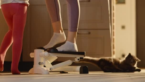 Naughty Cat Plays Next Slim Woman Legs Stepper Small Kids — Stockvideo