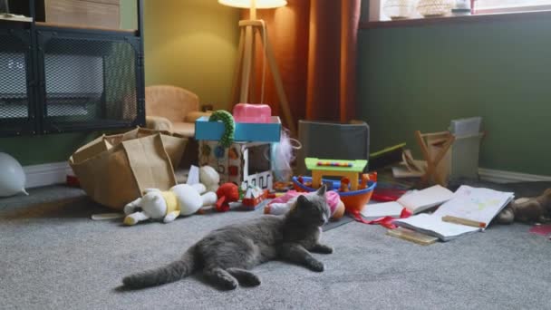 顽皮懒惰的灰猫在独自呆在家里之前就把事情搞得一团糟 现在躺在了一个放高利贷的房间里 鞋子和玩具遍布在灰蒙蒙的地毯地板上 让宠物在附近放松 总部4K段 — 图库视频影像