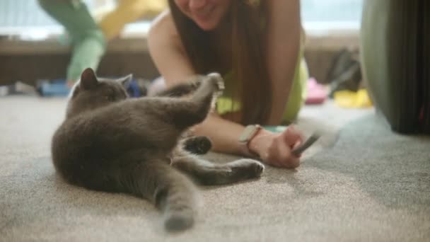 Family Time Nursury Room Playful Gray Cat Attacks Woman Pet — Stock Video