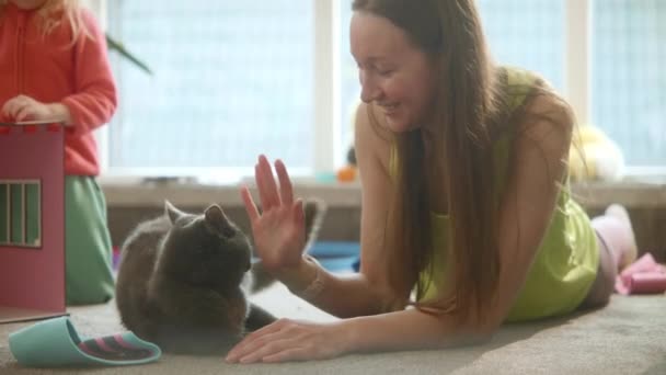 Γυναίκα Πειράγματα Παιχνιδιάρικο Γκρι Γάτα Δάχτυλά Της Δαγκώματα Κατοικίδιων Ζώων — Αρχείο Βίντεο