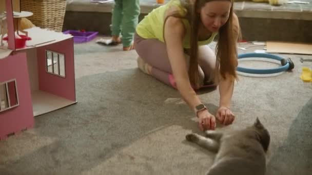 Γυναίκα Πειράγματα Χνουδωτή Γκρι Γάτα Χέρια Της Δαγκώματα Κατοικίδιων Ζώων — Αρχείο Βίντεο