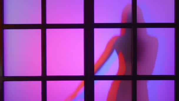 Zicht Energieke Danseres Achter Mat Glas Bij Kleurrijke Lichtflitsen Jonge — Stockvideo