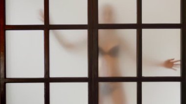 Siyah iç çamaşırı giyen kadın görüntüsü Matt Glass 'ın arkasında baştan çıkarıcı bir şekilde hareket ediyor. Genç ince manken dansları, esnek bayan, hareketli gölge, siluet. Erotik tutkulu şov.