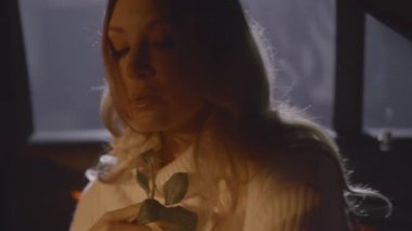 Romantik bir kadının elinde beyaz bir gül narin ellerle arabada oturması, ışık yanıp sönmesi. Aşık olmak, hayal kurmak ve bir randevu beklemek. Sarışın kadın portresi. Yüksek kalite 4k görüntü
