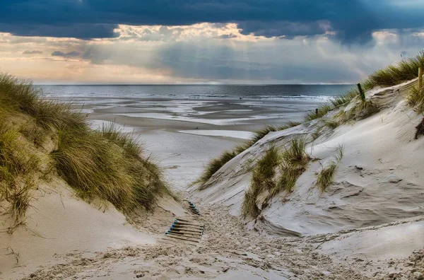 ヨーロッパ ドイツ アムルムのビーチの砂丘 — ストック写真