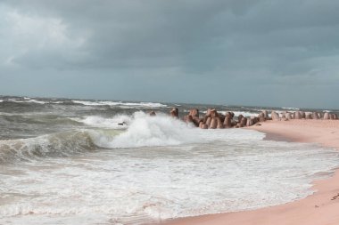 Hoernum 'da tetrapodlar, Sylt, Almanya, Europ