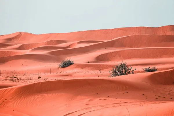 Desert Ras Khaimah United Arab Emirates Asia — Stock Fotó