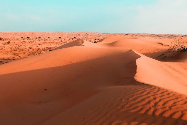 Пустеля Рас Ель Хайма Єднані Арабські Емірати Азія — стокове фото