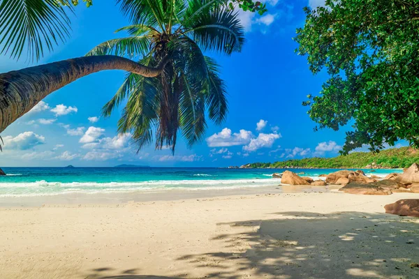 The Beach Anse Lazio, Praslin, Seyşeller Adası, Hint Okyanusu, Afrika.