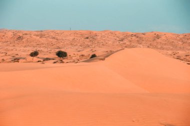 The Desert in Ras al Khaimah, United Arab Emirates, Asia 