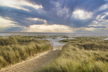 Dunes at the Beach of Amrum, Germany, Europe
