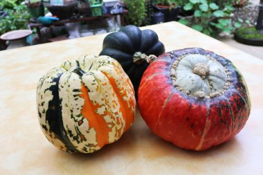 Masadaki farklı kabak türleri.