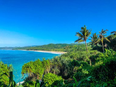 Samana yarımadasındaki sahil, Dominik Cumhuriyeti
