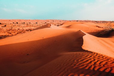 The Desert in Ras al Khaimah, United Arab Emirates, Asia 