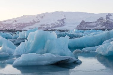 Laurisilva Ormanı Fanal, Madeira, Portekiz, Avrupa 'da sis
