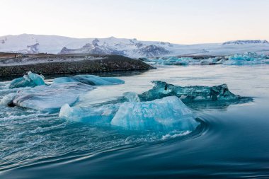 Laurisilva Ormanı Fanal, Madeira, Portekiz, Avrupa 'da sis
