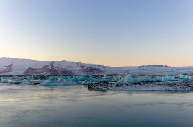 Laurisilva Ormanı Fanal, Madeira, Portekiz, Avrupa 'da sis