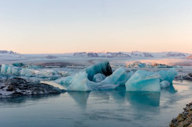 Laurisilva Ormanı Fanal, Madeira, Portekiz, Avrupa 'da sis