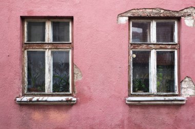 Laurisilva Ormanı Fanal, Madeira, Portekiz, Avrupa 'da sis