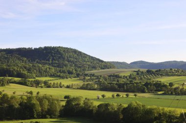 Kahve çekirdekleri ve bir fincan kahve.