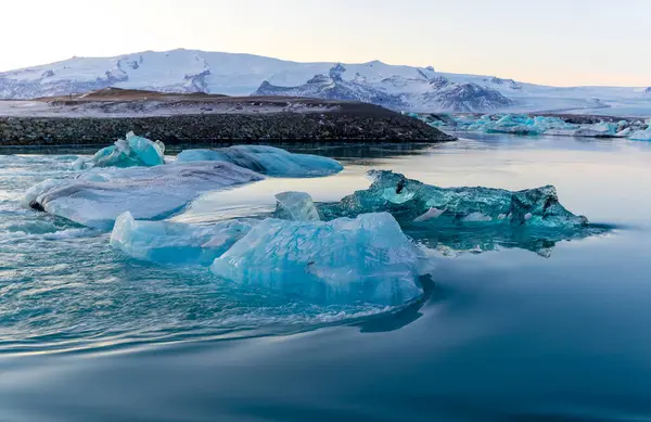 Laurisilva Ormanı Fanal, Madeira, Portekiz, Avrupa 'da sis