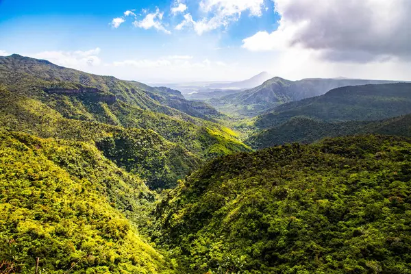 Mauritius 'taki Black River Gorges Ulusal Parkı, Hint Okyanusu, Afrika