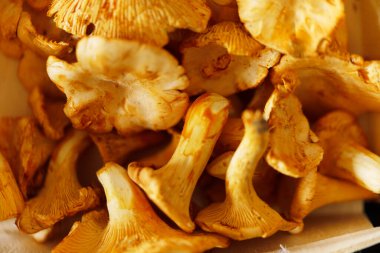 Masanın üzerinde Chanterelle Mantarı.