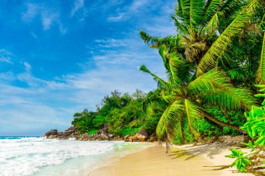 Praslin Adası 'ndaki sahil Anse Georgette, Seyşeller, Hint Okyanusu, Afrika.