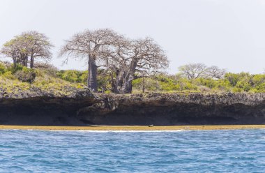 Wasini Adası ve Kisite-Mpunguti Deniz Ulusal Parkı, Kenya, Afrika