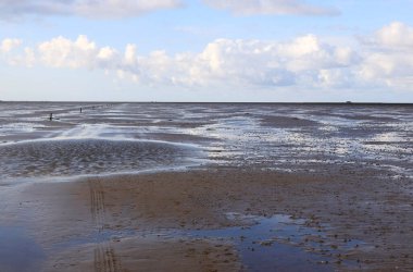 Peninsula Nordstrand yakınlarındaki Wadden Denizi Ulusal Parkı, Almanya, Avrupa