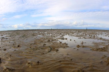 Peninsula Nordstrand yakınlarındaki Wadden Denizi Ulusal Parkı, Almanya, Avrupa