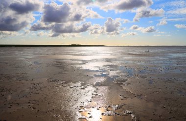 Peninsula Nordstrand yakınlarındaki Wadden Denizi Ulusal Parkı, Almanya, Avrupa