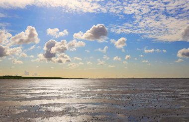 Peninsula Nordstrand yakınlarındaki Wadden Denizi Ulusal Parkı, Almanya, Avrupa