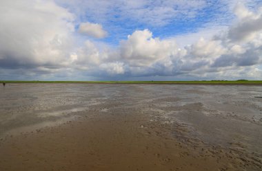 Peninsula Nordstrand yakınlarındaki Wadden Denizi Ulusal Parkı, Almanya, Avrupa