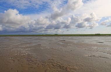 Peninsula Nordstrand yakınlarındaki Wadden Denizi Ulusal Parkı, Almanya, Avrupa