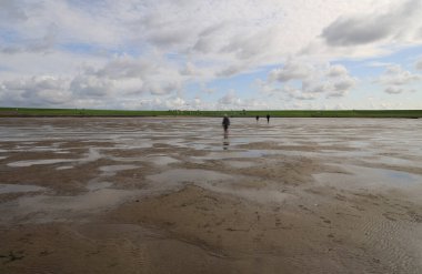 Peninsula Nordstrand yakınlarındaki Wadden Denizi Ulusal Parkı, Almanya, Avrupa