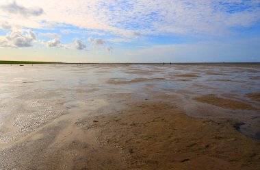 Peninsula Nordstrand yakınlarındaki Wadden Denizi Ulusal Parkı, Almanya, Avrupa