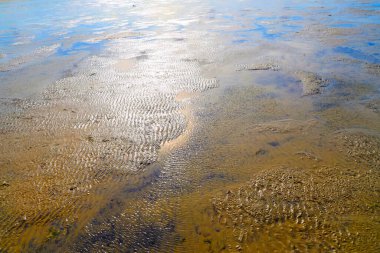 Peninsula Nordstrand yakınlarındaki Wadden Denizi Ulusal Parkı, Almanya, Avrupa