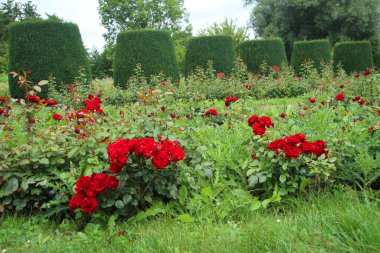 The Wertwiesen Park in Heilbronn, Germany, Europe.