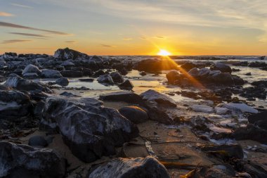 Snaefellsnes Yarımadası, İzlanda, Avrupa 'daki Ytri Tunga Plajı