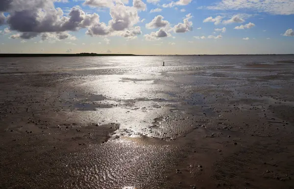 Peninsula Nordstrand yakınlarındaki Wadden Denizi Ulusal Parkı, Almanya, Avrupa