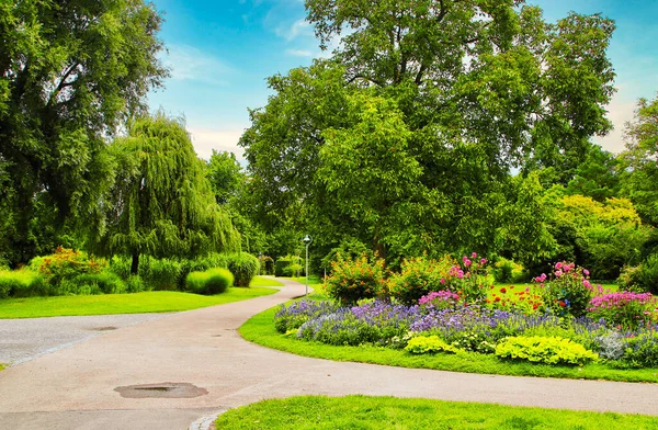 Kahve çekirdekleri ve bir fincan kahve.
