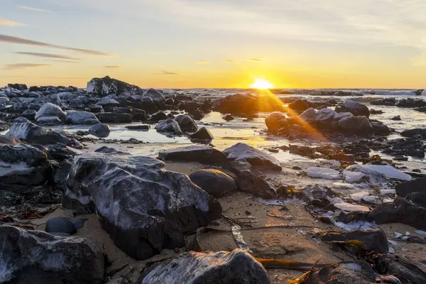 Snaefellsnes Yarımadası, İzlanda, Avrupa 'daki Ytri Tunga Plajı