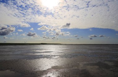 Peninsula Nordstrand yakınlarındaki Wadden Denizi Ulusal Parkı, Almanya, Avrupa